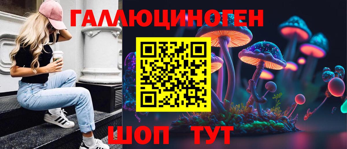 Щёлково  Галлюциногенные грибы Psilocybine cubensis  Вход с VPN 